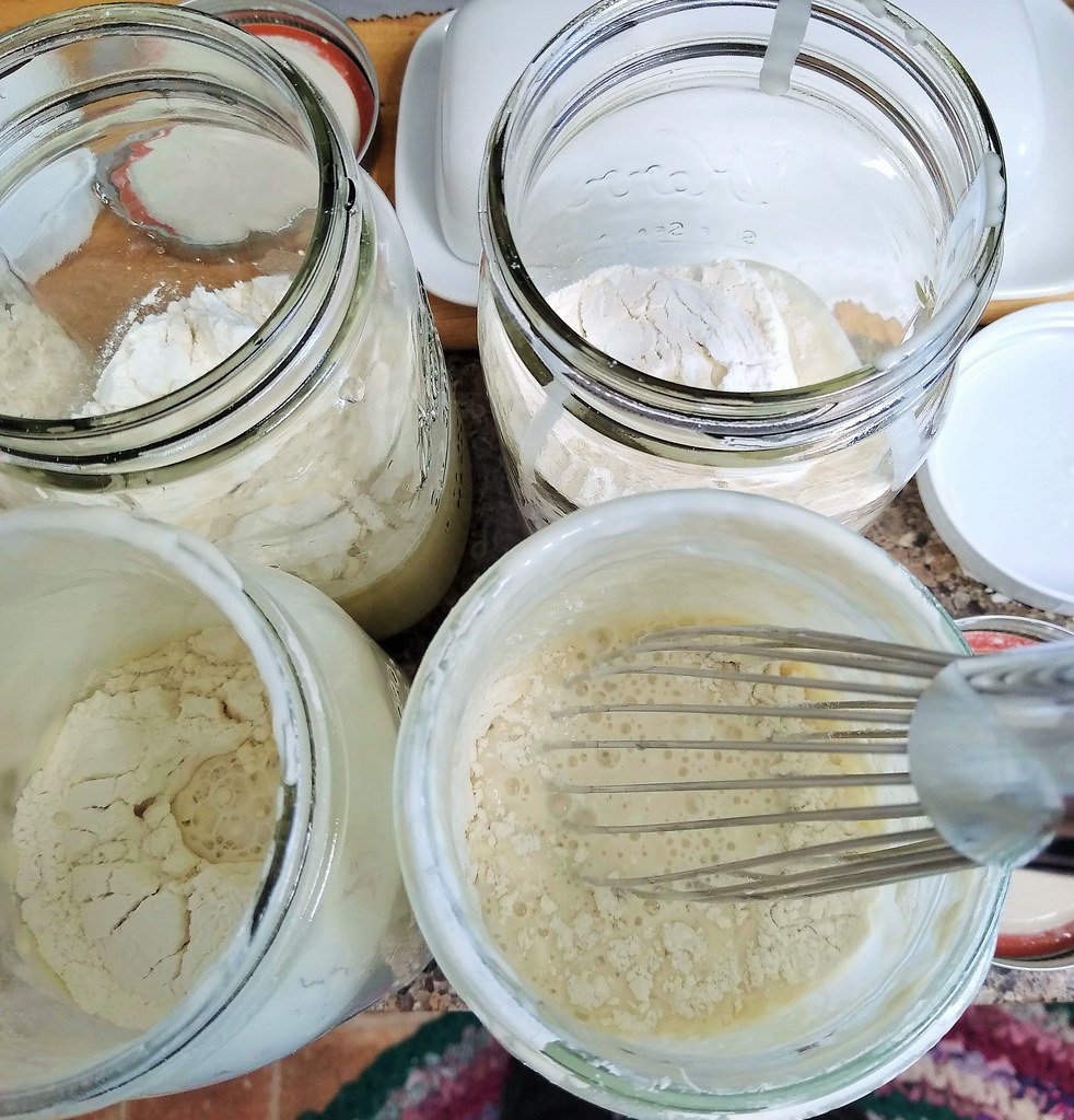 How to Make a Sourdough Starter From Scratch in 7 Days